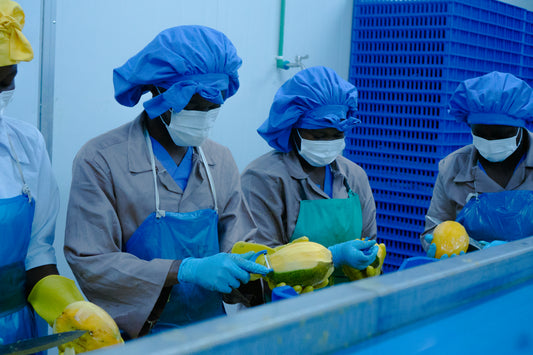 Four women in production gear peel mangoes in the processing room.