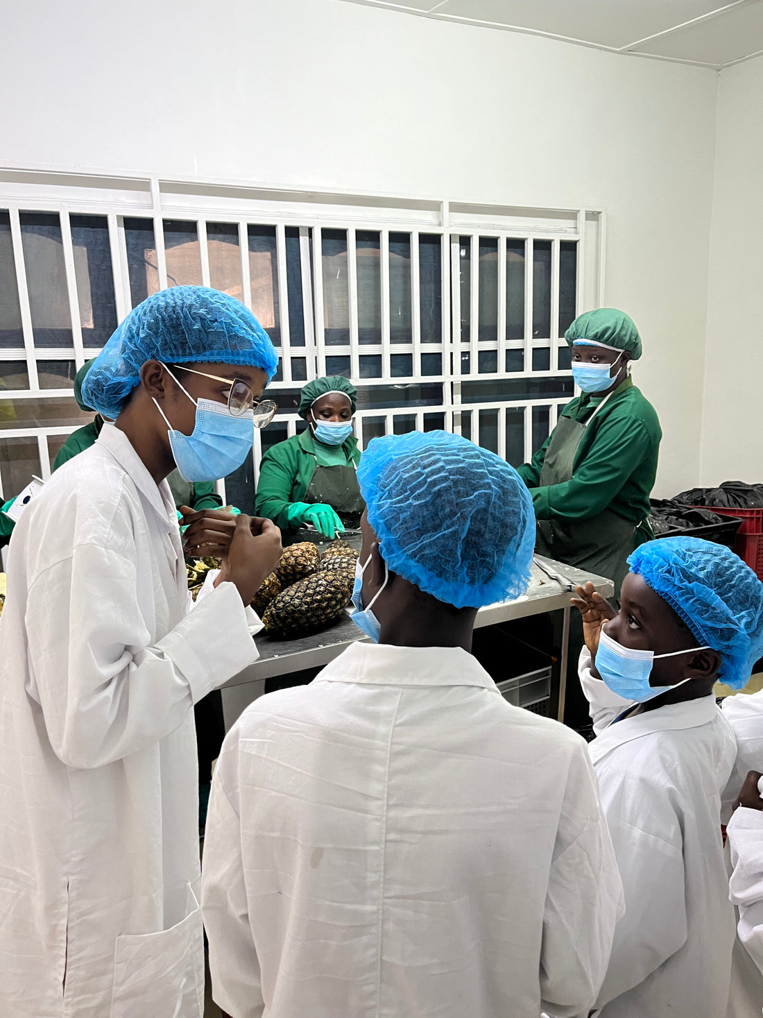 Kids Tour at the Yvaya Farm Factory !