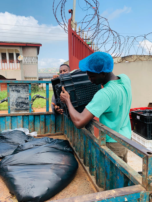 No such thing as waste ! From Fruit to Feed.