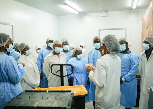 Ghanaian Business Students Visit Pure and Just