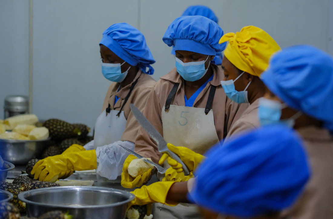 Our Top 5 Wins in 2025 ✨