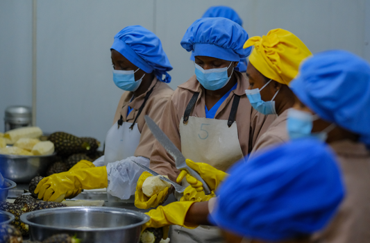 Our Top 5 Wins in 2025 ✨